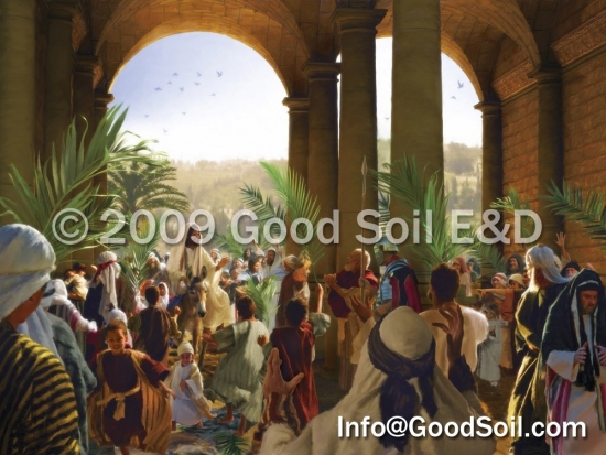 NT-18 Jesus' Triumphal Entry